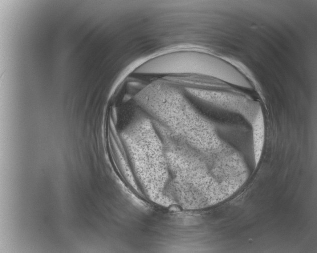 X0000080100910200612301914