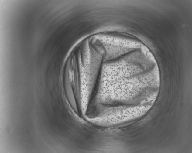 X0000080100912200612301914