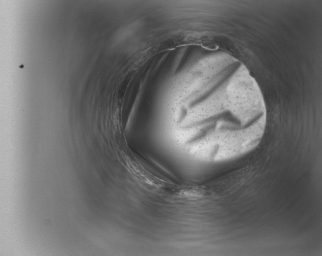 X0000080100914200612301914