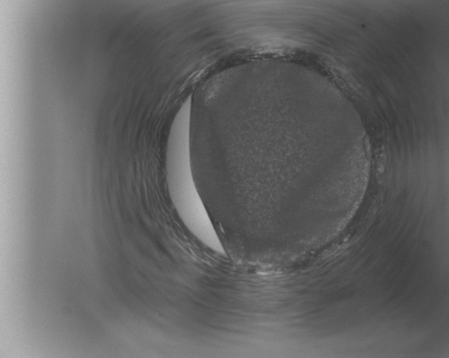 X0000080100916200612301914