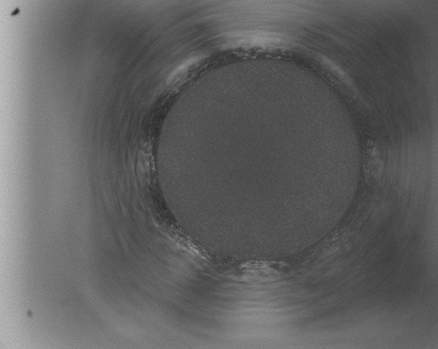 X0000080100918200612301914