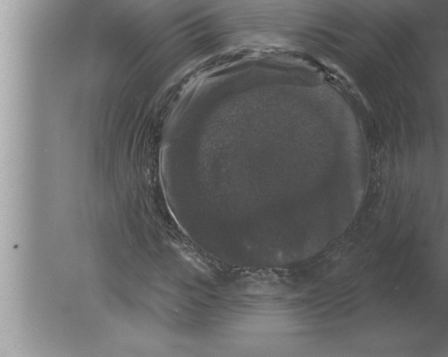 X0000080100919200612301914