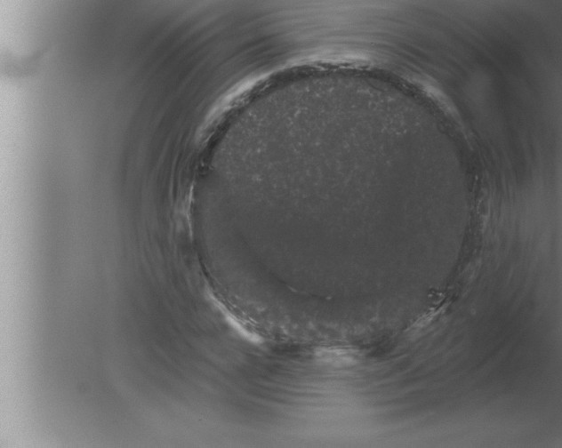 X0000080100920200612301914