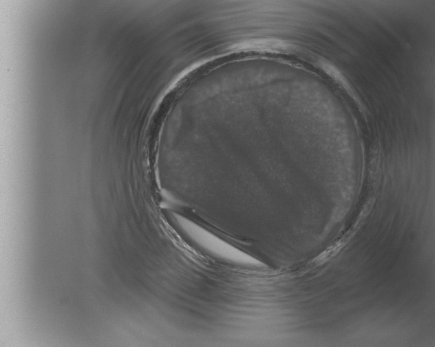 X0000080100923200612301914