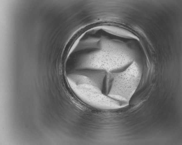 X0000080100924200612301914