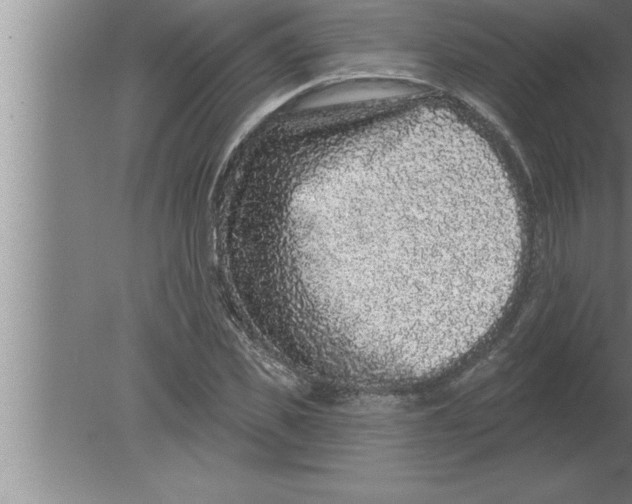 X0000080100925200612301914