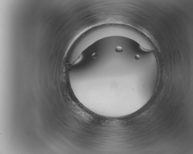 X0000080100926200612301914