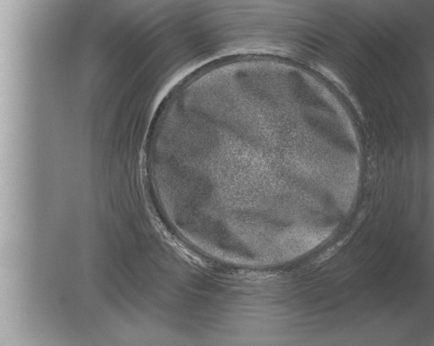 X0000080100928200612301914