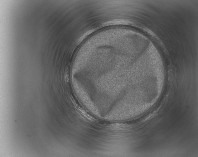 X0000080100929200612301914