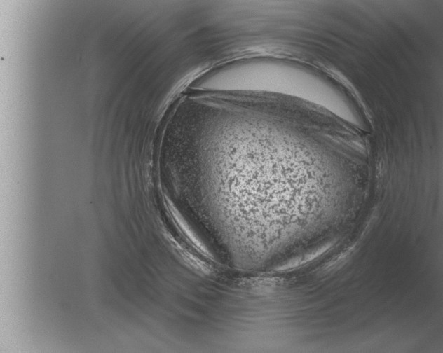 X0000080100930200612301914