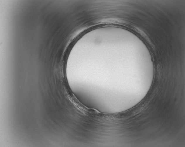 X0000080100931200612301914