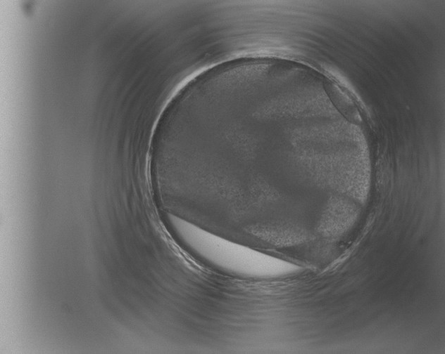 X0000080100932200612301914