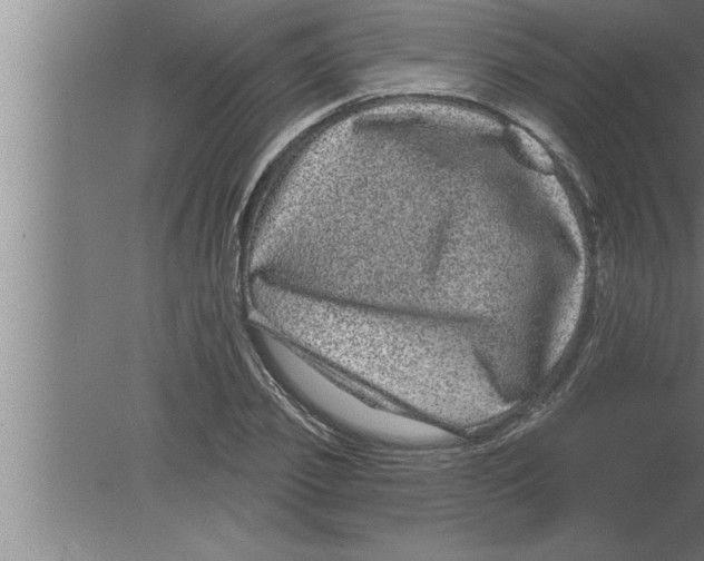 X0000080100933200612301914