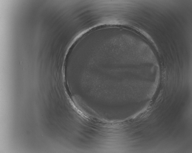 X0000080100935200612301914