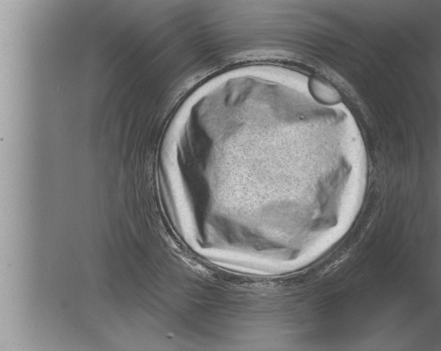 X0000080100937200612301914