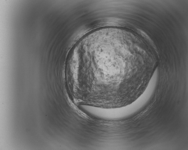 X0000080100938200612301914