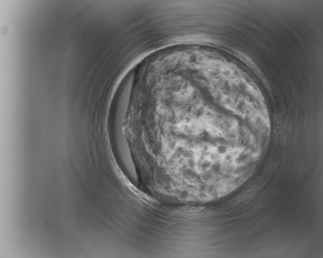 X0000080100939200612301914