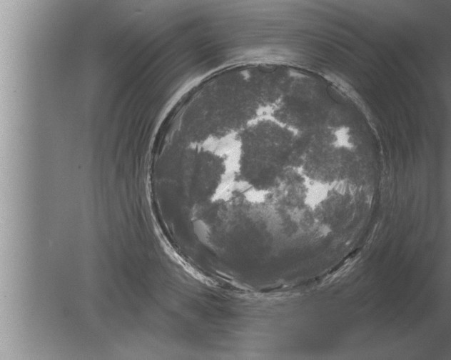 X0000080100941200612301914