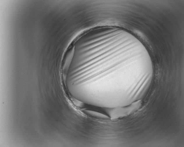 X0000080100942200612301914