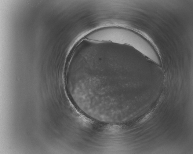 X0000080100943200612301914