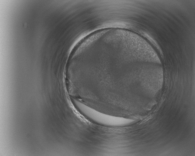 X0000080100944200612301914