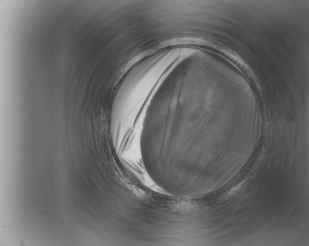 X0000080100945200612301914