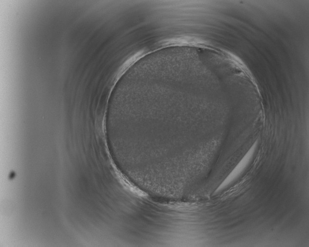 X0000080100946200612301914