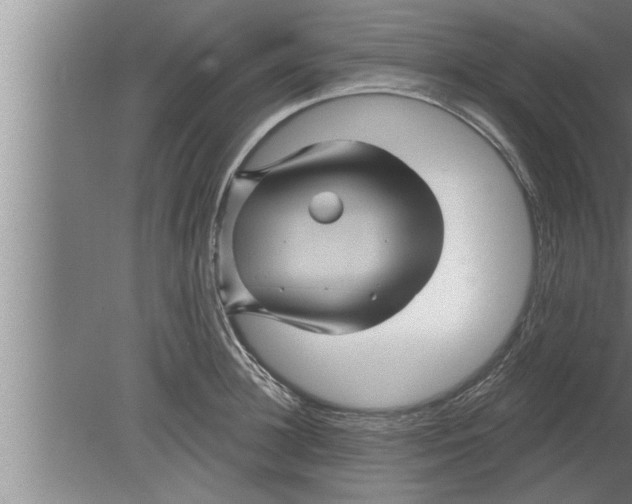 X0000080100948200612301914