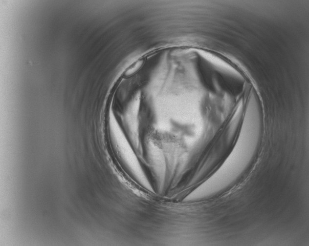 X0000080100949200612301914