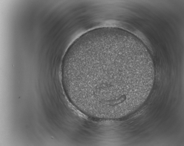 X0000080100950200612301914