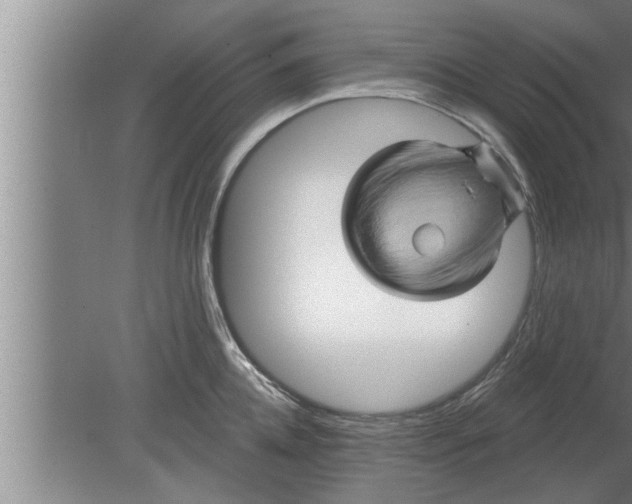 X0000080100952200612301914