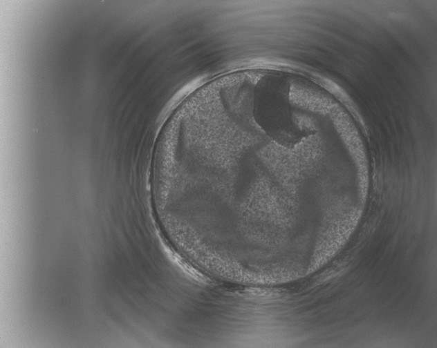 X0000080100954200612301914