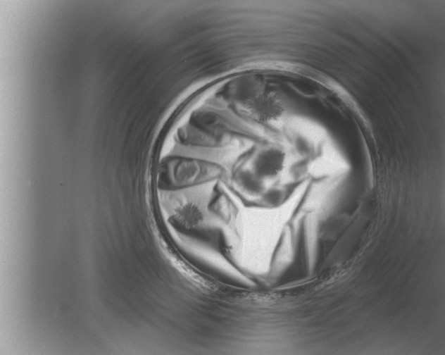 X0000080100955200612301914