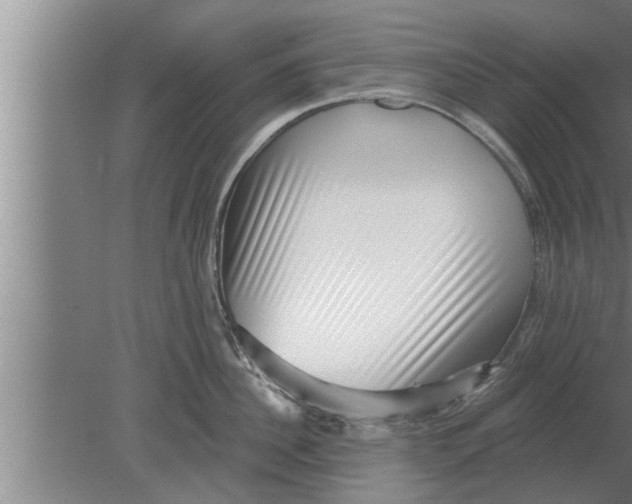 X0000080100956200612301914