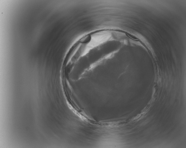 X0000080100958200612301914