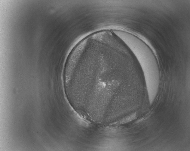 X0000080100959200612301914