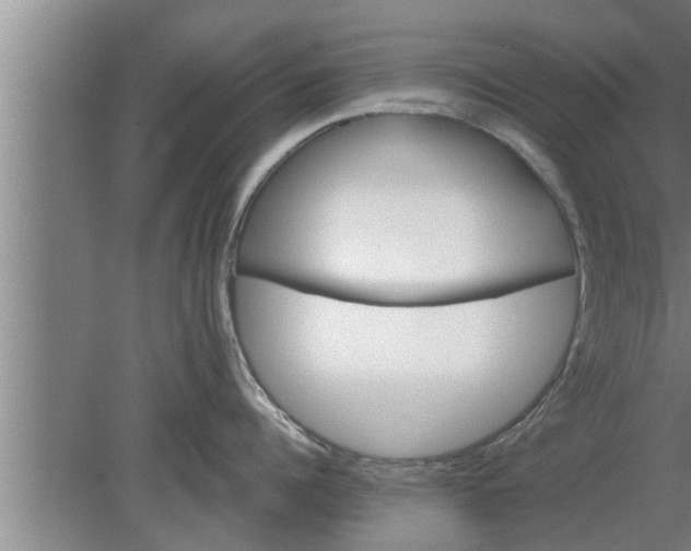 X0000080100960200612301914