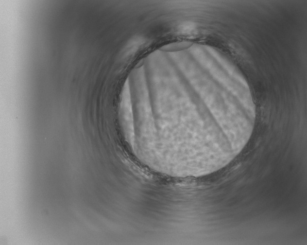 X0000080100961200612301914