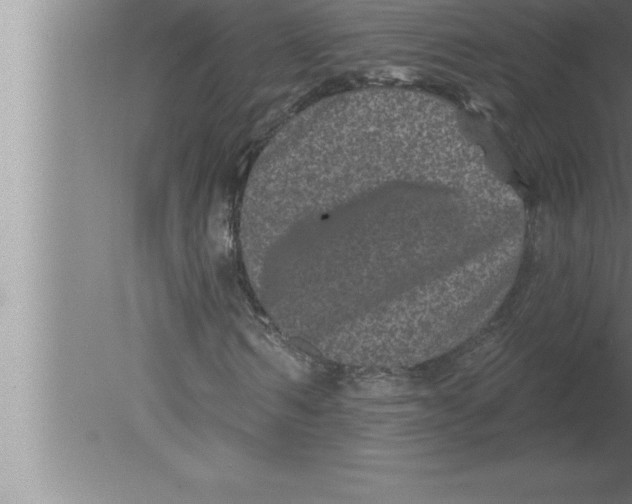 X0000080100962200612301914