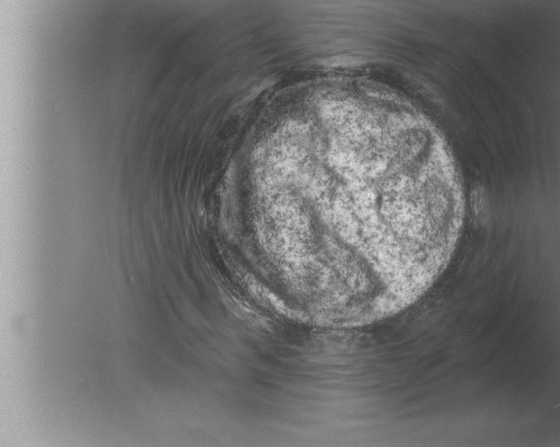 X0000080100963200612301914