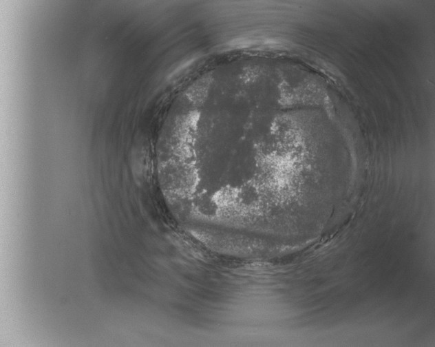 X0000080100966200612301914