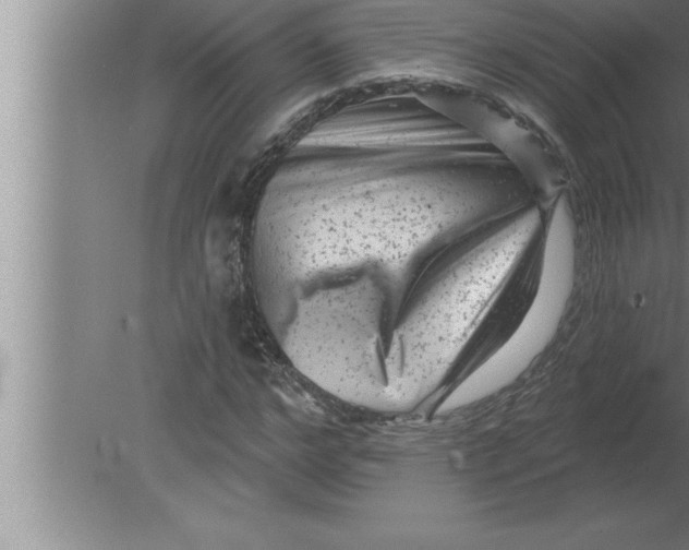 X0000080100968200612301914