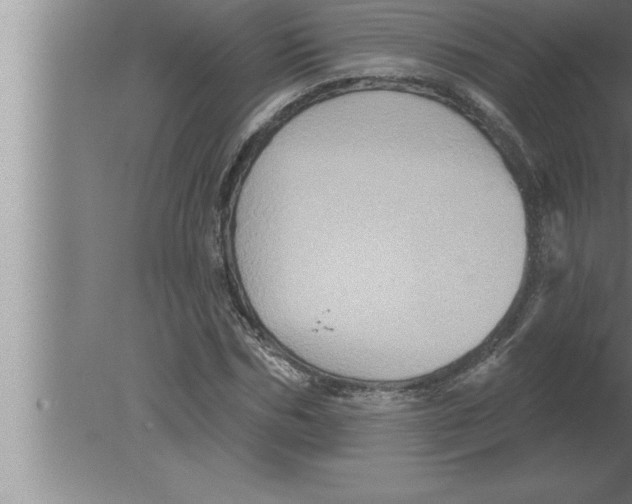 X0000080100970200612301913