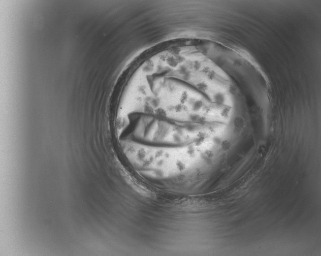 X0000080100972200612301913