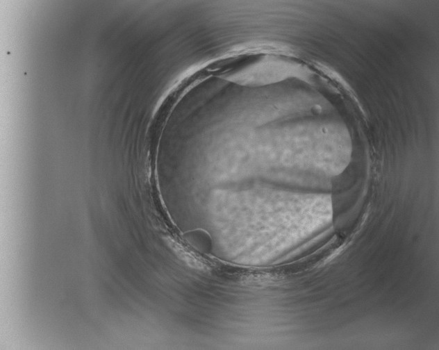 X0000080100973200612301913