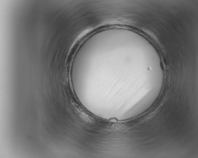 X0000080100974200612301913