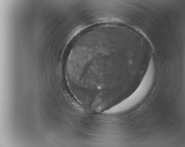 X0000080100975200612301913