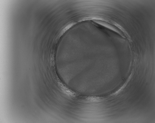 X0000080100977200612301913