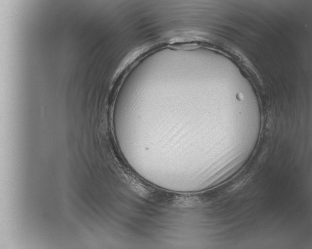 X0000080100978200612301913