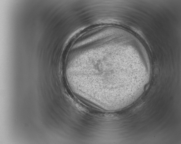 X0000080100979200612301913